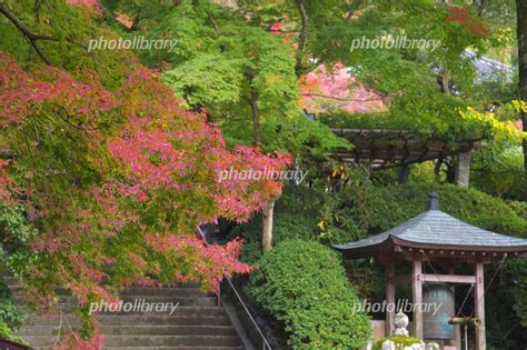 秋の大興善寺 写真素材 1067818 フォトライブラリー Photolibrary