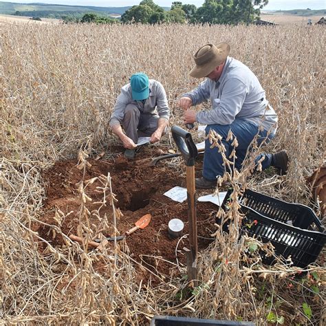 Copercampos E Embrapa Trigo Desenvolvem Projeto Para Qualificar O