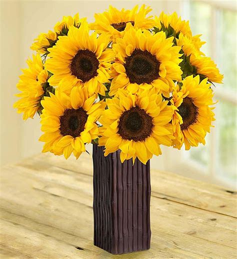 Sunflower Bouquet | 1800Flowers.com - 95044