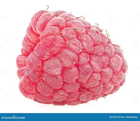 One Fresh Raspberry Isolated On White Background Ripe Red Raspberry