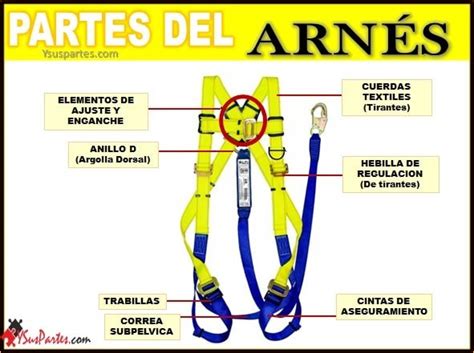 Partes Que Componen Un Arnes De Seguridad