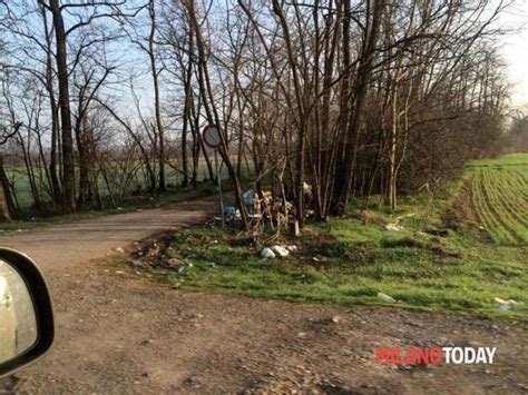 Le Segnalazioni Degrado Urbano A Milano