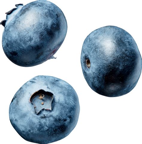 Blueberry PNG Transparent Images