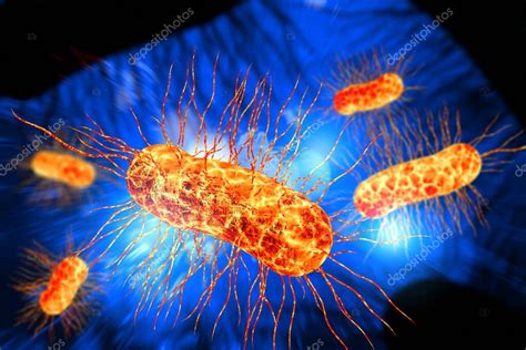 Escherichia Coli Tambi N Conocida Como Bacteria Ecoli En La Ciencia De