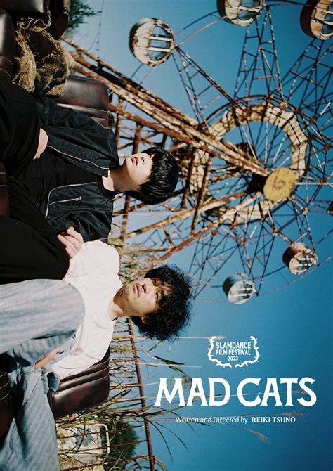 Mad Cats Rotten Tomatoes