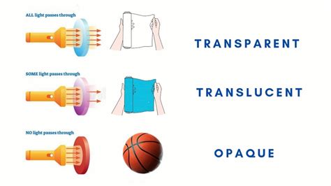 Identifying Transparent Translucent And Opaque Objects Science