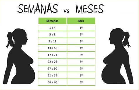 Circunferência Abdominal Fetal O Que é E Tabela De Medida Por Semana De