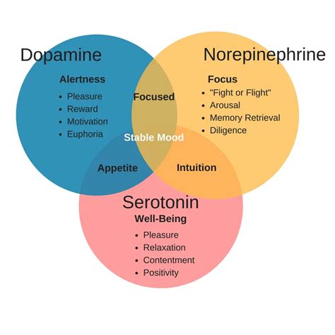 Norepinephrine Dopamine Serotonin Venn Diagram Dopamine Sero