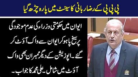 Ppp Raza Rabbani Sensational Speech In Senate Of Pakistan Pti