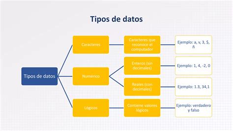 Semana Principios De Algoritmos Pdf