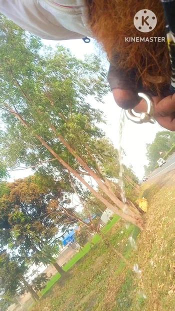 Video Porno All Aperto Gay XHamster