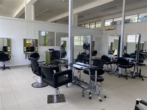 Technologie De La Coiffure En Situations Professi 5