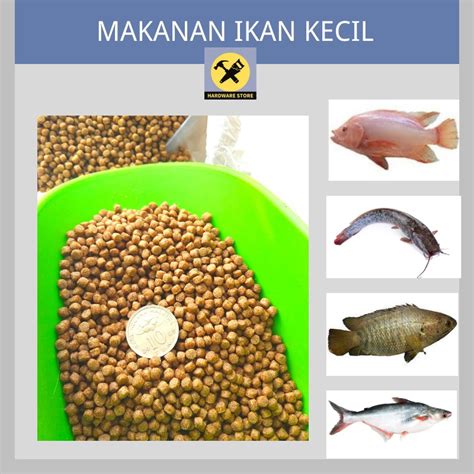 Makanan Ikan Air Tawar Protien Tinggi Untuk Ikan Talapia Patin Keli