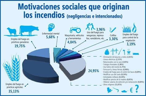 Cuáles son las principales causas de los incendios forestales