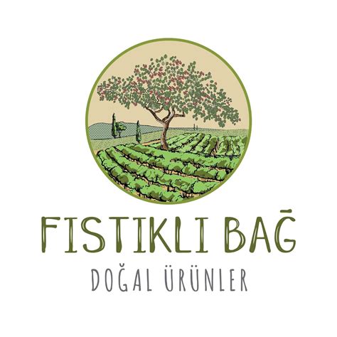 Bağ Fiil Ne Demek 5