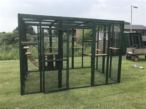 Cat Run PVC Green 6ft X 9ft Large Catio Cat Plan Pen Shelves Amazon