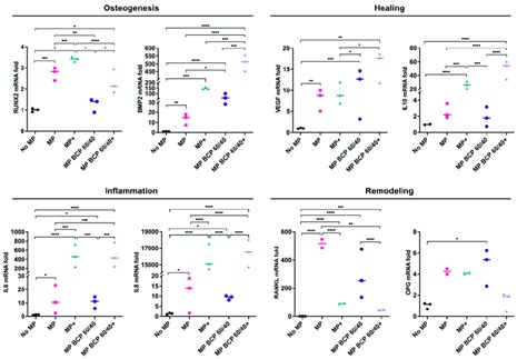 Relative Mrna Expressions Fold Changes Of Osteogenesis Healing