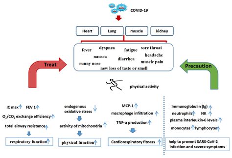 Impact of Physical Activity on COVID-19
