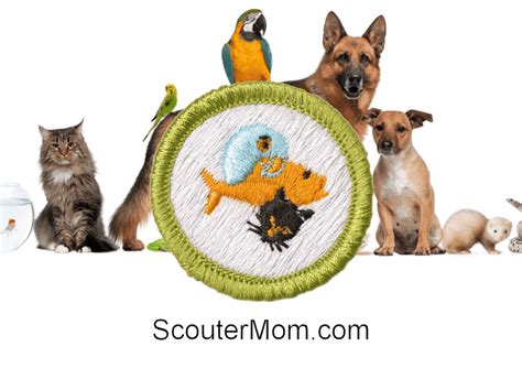 Pets Merit Badge Helps And Documents Scouter Mom Worksheets Library