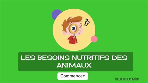 6ème Besoins des animaux