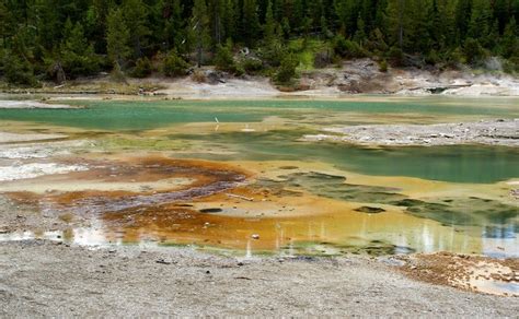 Place Colored Extremophiles Of Yellowstone National Park National Parks Yellowstone