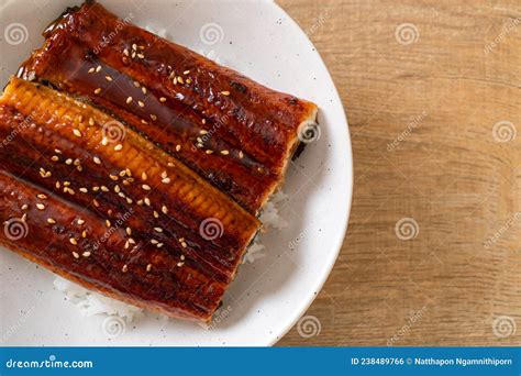 Japanese Eel Grilled With Rice Bowl Or Unagi Don Stock Photo Image Of