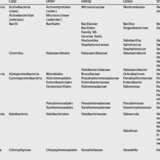 Microbial taxonomy of halophilic microorganisms reviewed. | Download Table