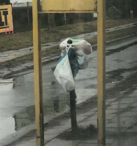 Pi Kny Przyk Ad Ludzkiej M Dro Ci Z Polski Na Przystanku Autobusowym