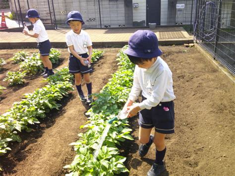 大きくなあれ！ ｜ 新宿区 幼稚園 新宿区 学校法人伸びる会学園