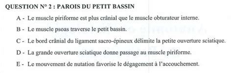 Muscle Psoas Iliaque Petit Bassin Ue Sp Petit Bassin Tutorat