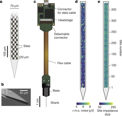 The Neuropixels probe a, Illustration of probe tip, showing ...