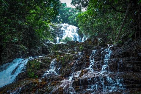 Phong Nha Botanic Garden Self Guided Jungle Walks Local Vietnam