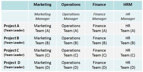 5 Organizational Structure Examples | Which to use?