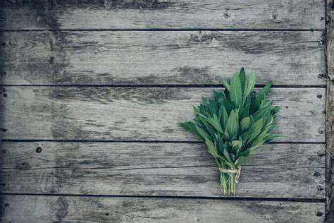 Premium Photo Salvia Officinalis Sage Leaves On Old Wooden Table