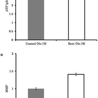 Effect Of Resveratrol On SIRT1 Expression In Oocytes Comparison Of