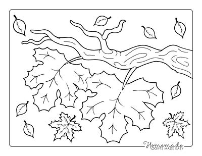 Autumn Leaf Colouring Sheets Infoupdate Org