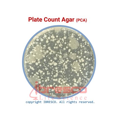 Plate Count Agar Pca Ibresco