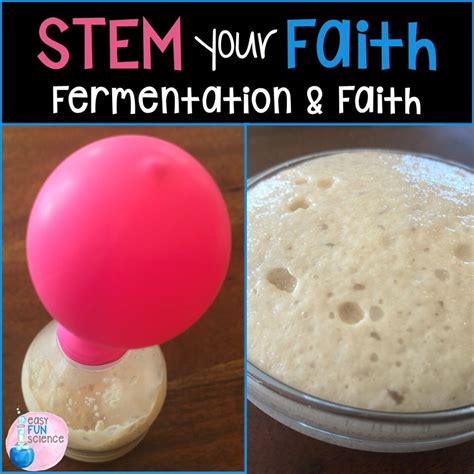 Fermentation in Yeast Object Lesson on Faith - Etsy