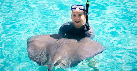 Swimming With The Stingrays Bahamas Air Tours