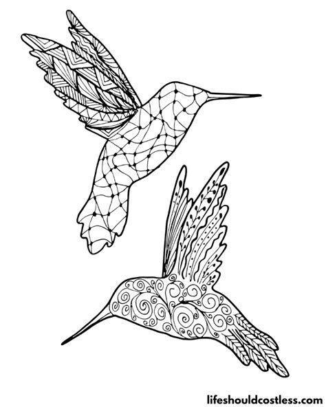 Hummingbird Coloring Pages (free PDF prints) - Life Should Cost Less