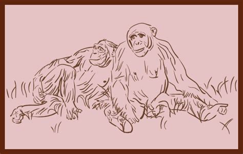 Resting Chimpanzee Clip Art At Clker Vector Clip Art Online