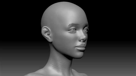 Female Anatomy Base Model Flippednormals