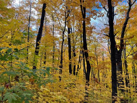 13 Hidden Gems in Duluth, MN That Locals Love to Visit – Journey