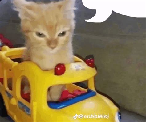 Cat Toy Car Sticker Cat Toy Car Toys Discover Share Gifs