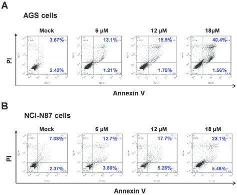 Sinularin‐induced Apoptosis In Ags And Nci‐n87 Human Gastric Cancer