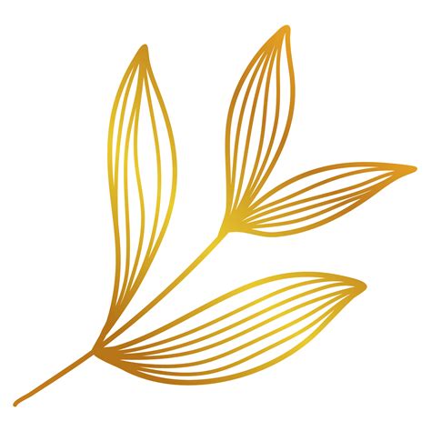 Golden Leaves Line Art Png