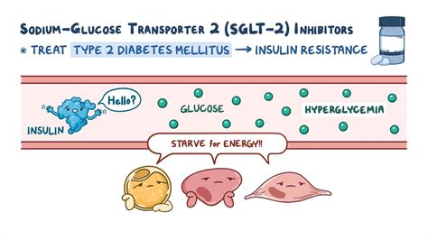 Oral Antidiabetic Medications Sodium Glucose Co Transporter 2 Sglt 2