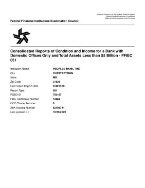 Fillable Online Consolidated Reports Of Condition And Income The