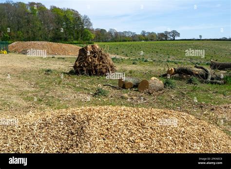 Aylesbury Vale Buckinghamshire Reino Unido Th De Abril De