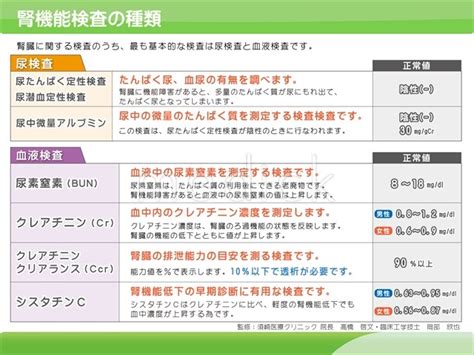 腎機能検査の種類の説明スライド 医療のイラスト・写真・動画、素材販売サイトのメディックmedick